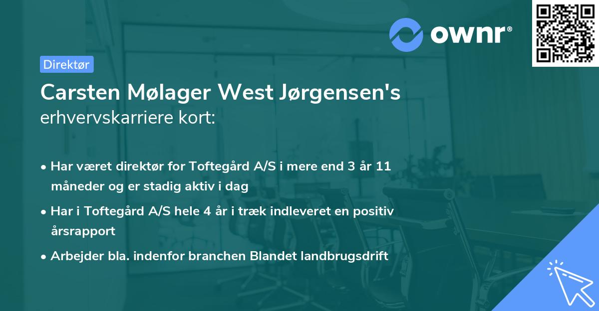 Carsten Mølager West Jørgensen's erhvervskarriere kort