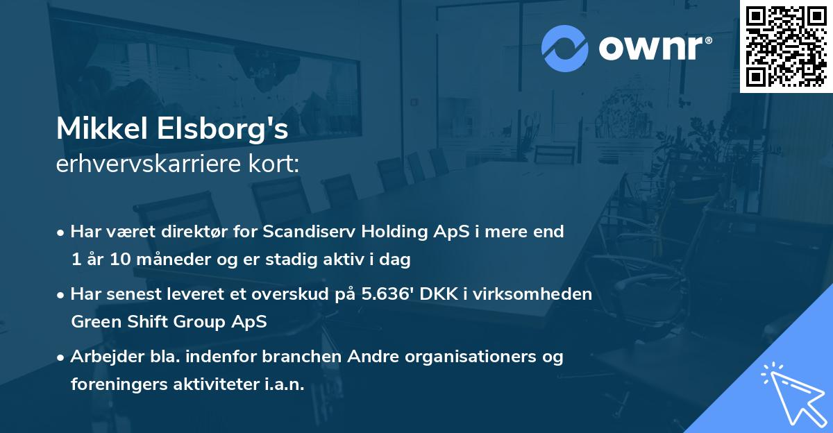 Mikkel Elsborg's erhvervskarriere kort