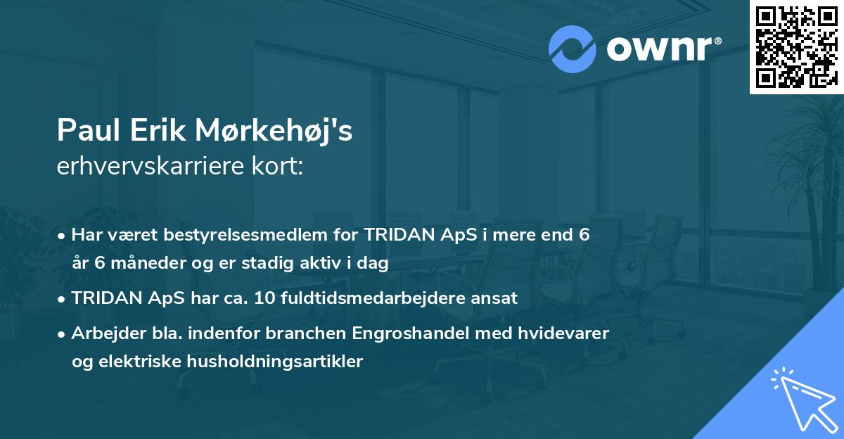 Paul Erik Mørkehøj's erhvervskarriere kort