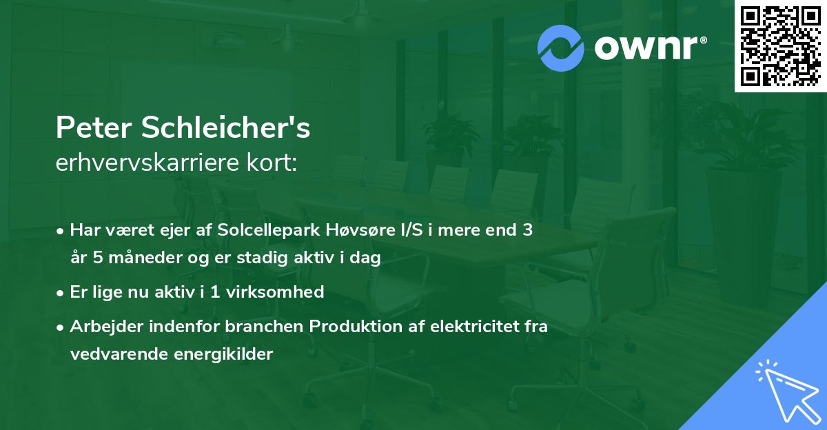 Peter Schleicher's erhvervskarriere kort