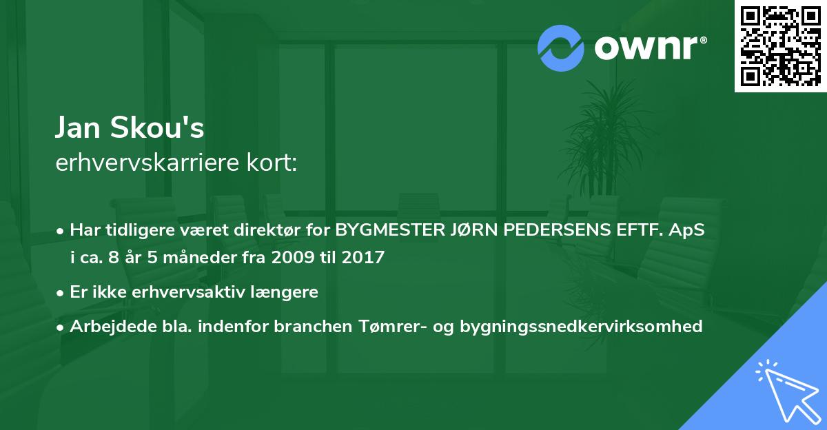 Jan Skou's erhvervskarriere kort