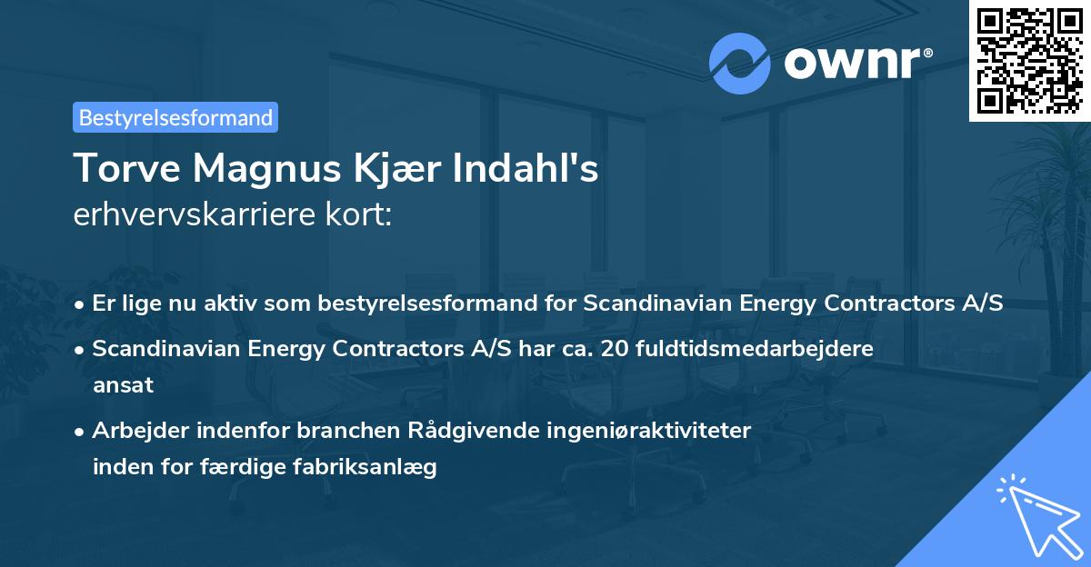 Torve Magnus Kjær Indahl's erhvervskarriere kort