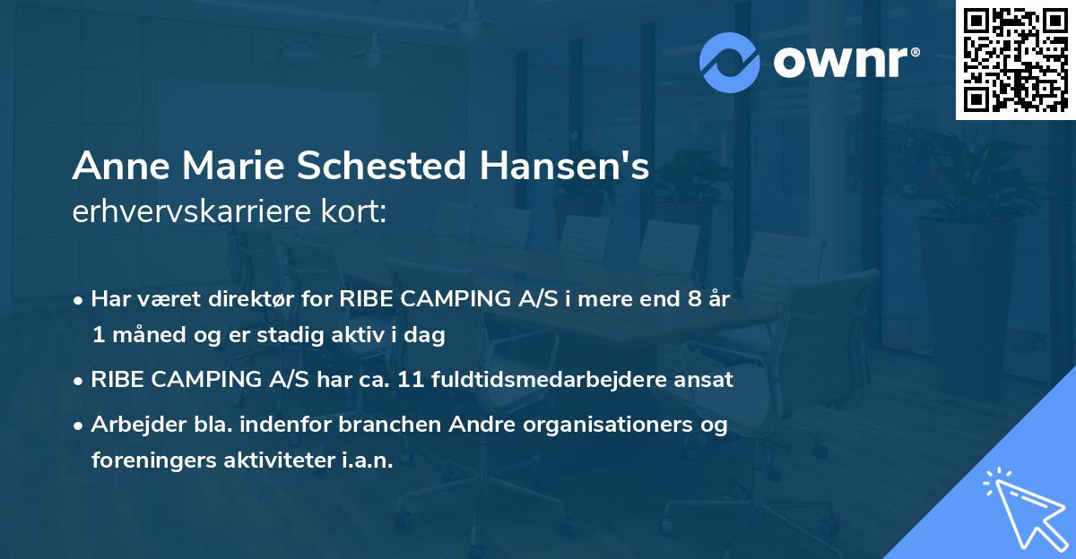 Anne Marie Schested Hansen's erhvervskarriere kort