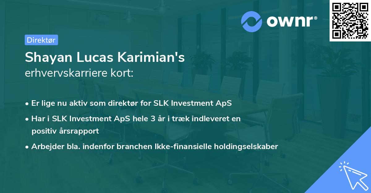 Shayan Lucas Karimian's erhvervskarriere kort