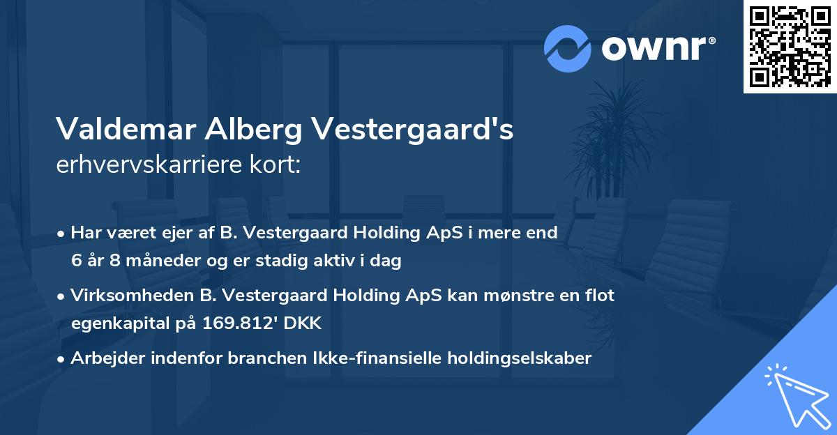 Valdemar Alberg Vestergaard's erhvervskarriere kort