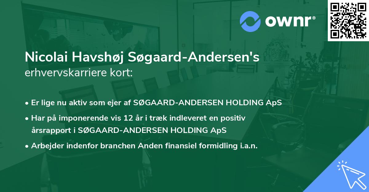 Nicolai Havshøj Søgaard-Andersen's erhvervskarriere kort