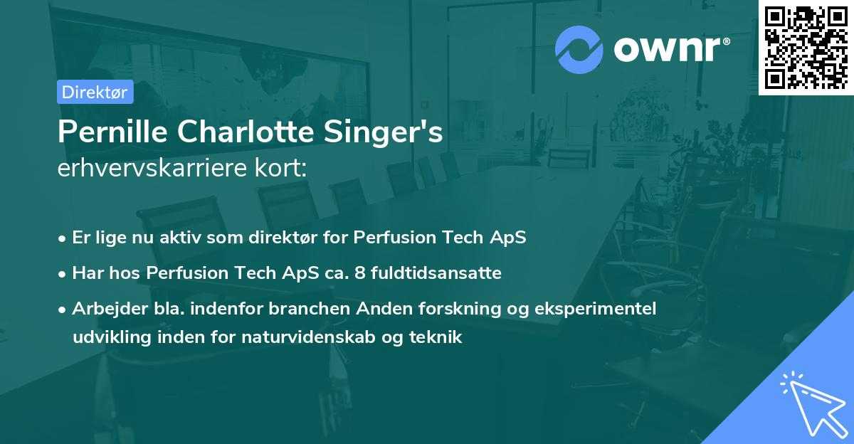 Pernille Charlotte Singer's erhvervskarriere kort