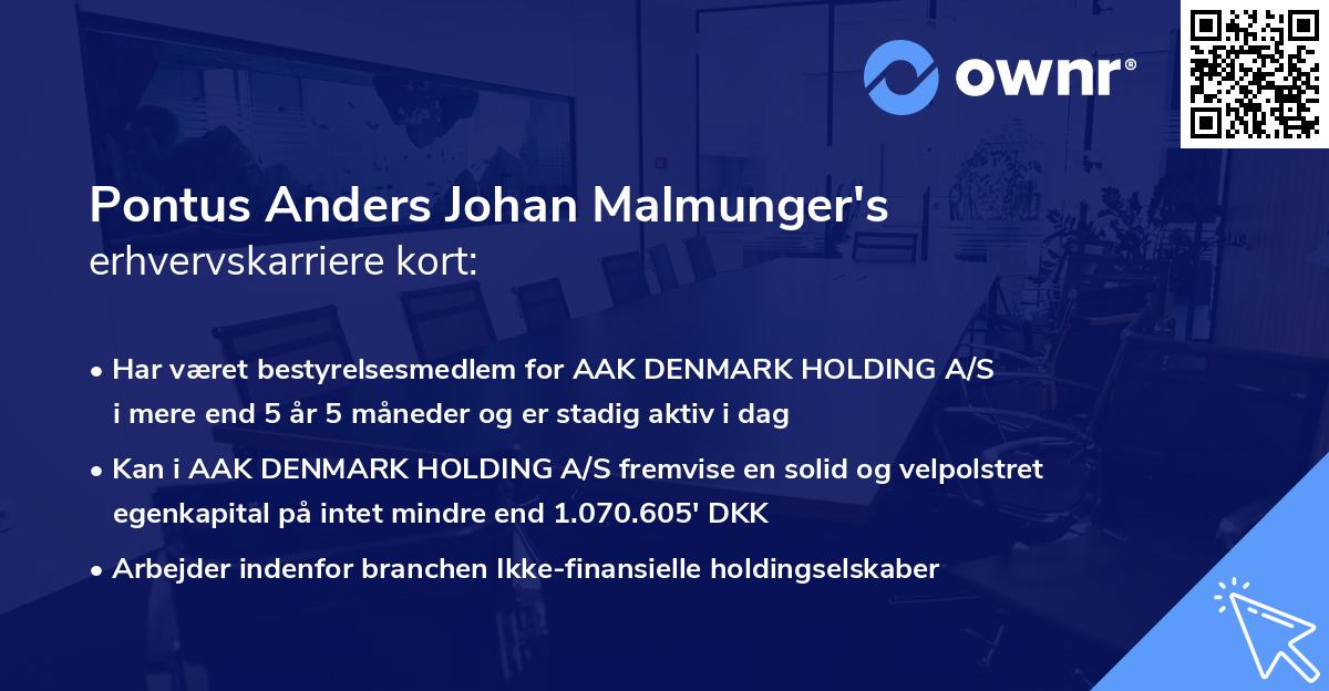 Pontus Anders Johan Malmunger's erhvervskarriere kort