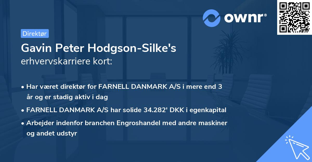 Gavin Peter Hodgson-Silke's erhvervskarriere kort