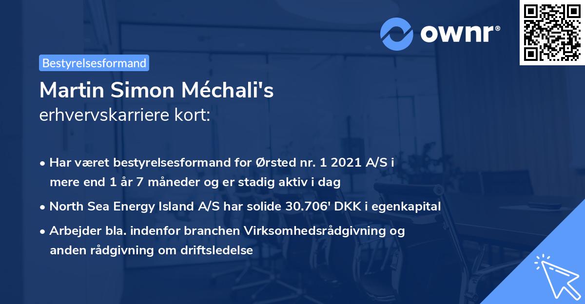 Martin Simon Méchali's erhvervskarriere kort