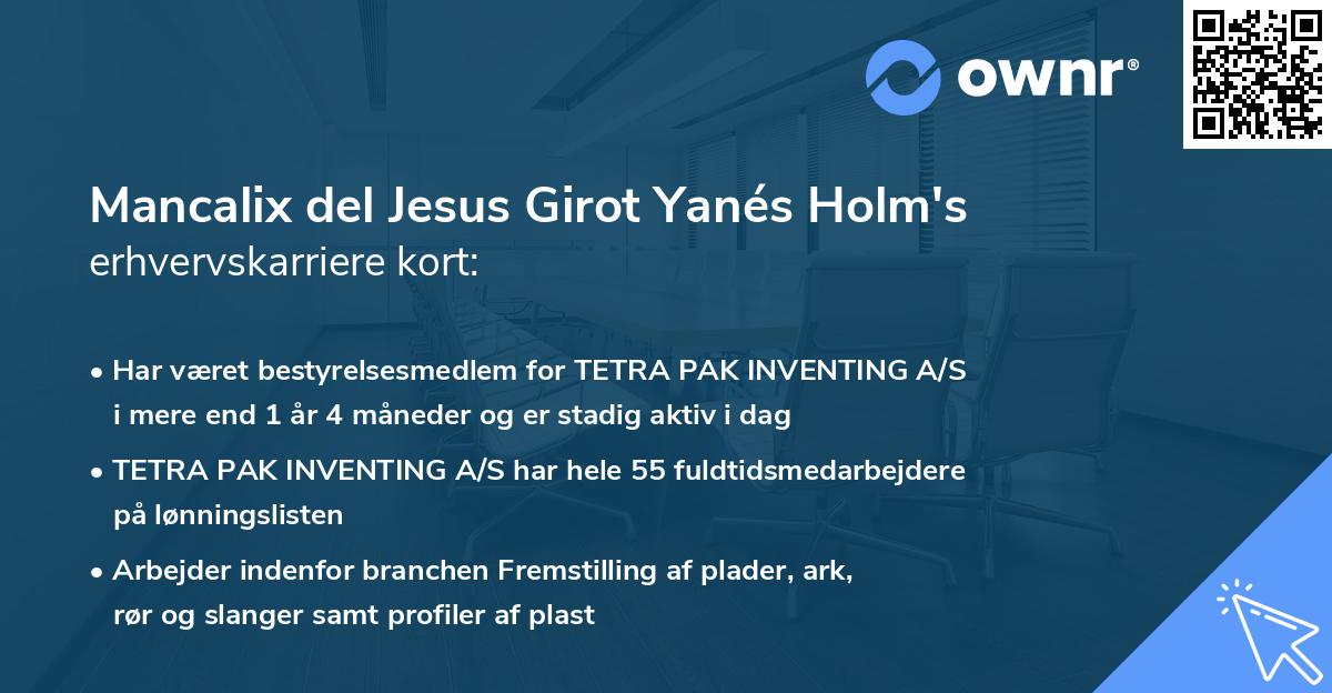 Mancalix del Jesus Girot Yanés Holm's erhvervskarriere kort