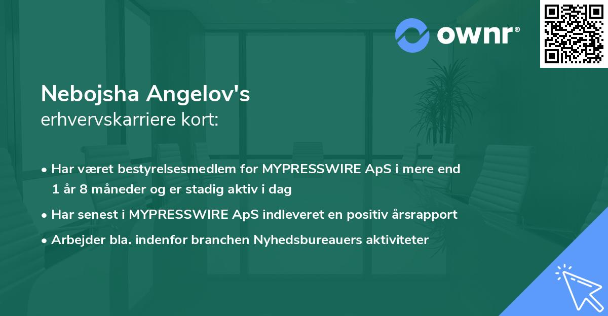 Nebojsha Angelov's erhvervskarriere kort