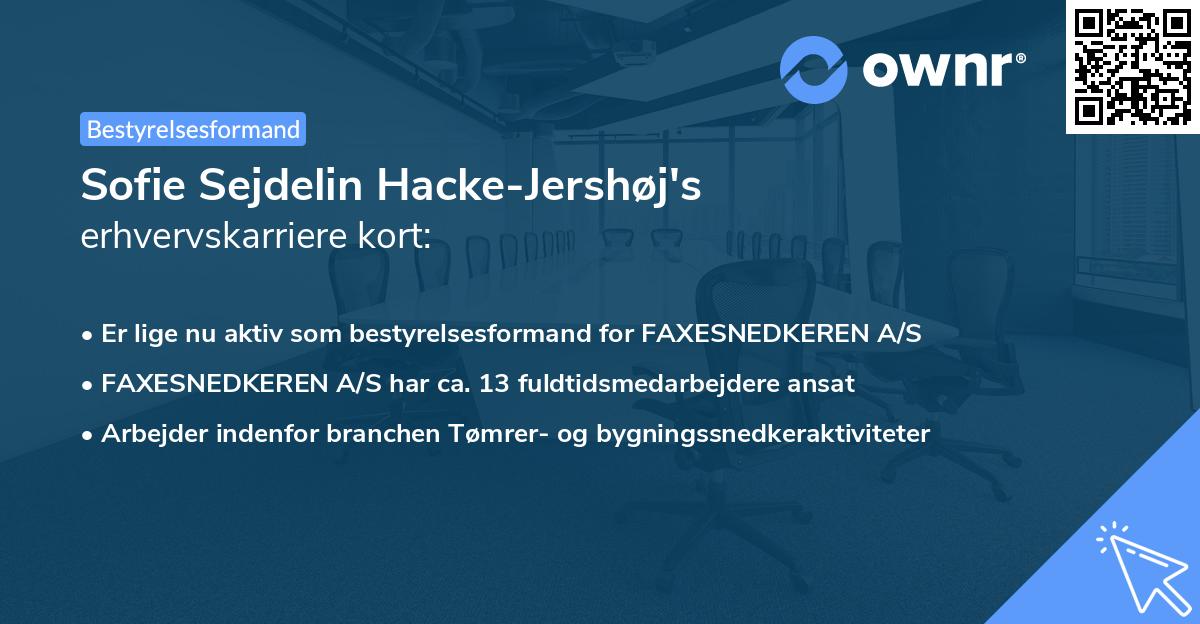 Sofie Sejdelin Hacke-Jershøj's erhvervskarriere kort