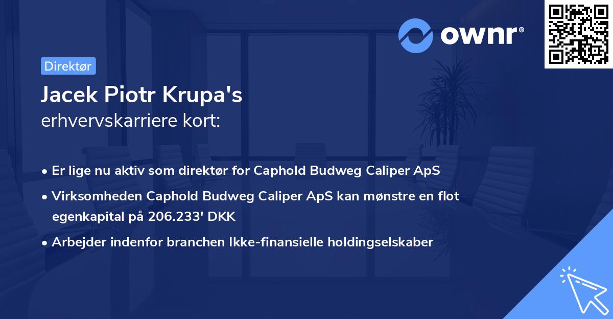Jacek Piotr Krupa's erhvervskarriere kort