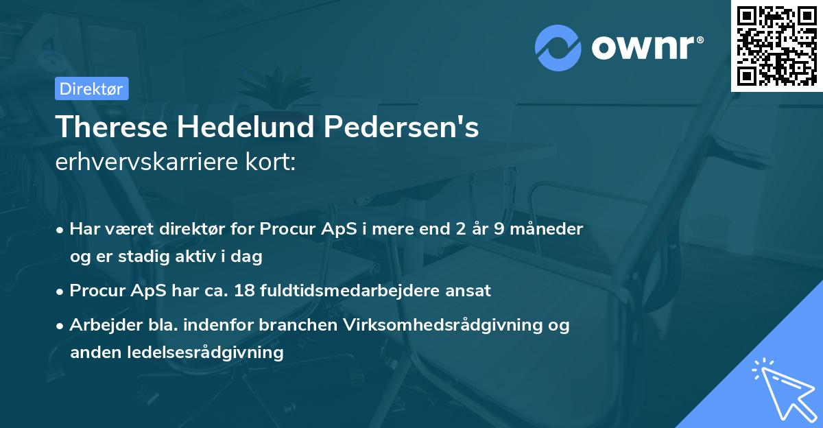 Therese Hedelund Pedersen's erhvervskarriere kort
