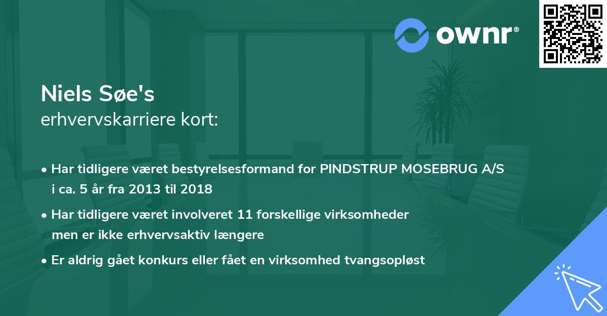 Niels Søe's erhvervskarriere kort