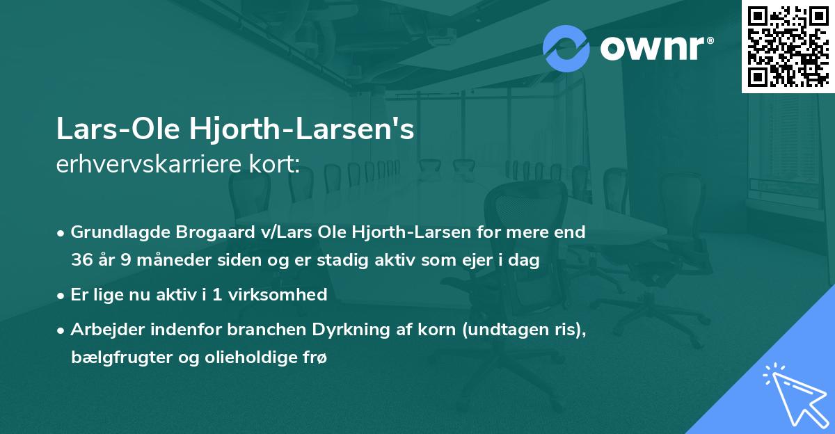 Lars-Ole Hjorth-Larsen's erhvervskarriere kort