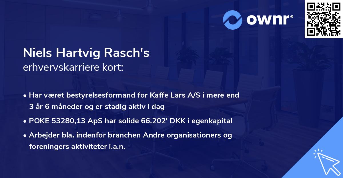 Niels Hartvig Rasch's erhvervskarriere kort