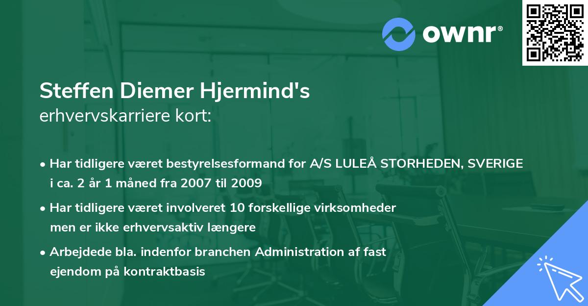 Steffen Diemer Hjermind's erhvervskarriere kort