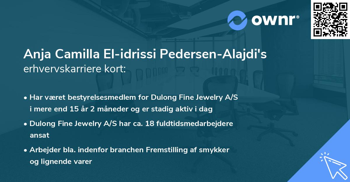 Anja Camilla El-idrissi Pedersen-Alajdi's erhvervskarriere kort