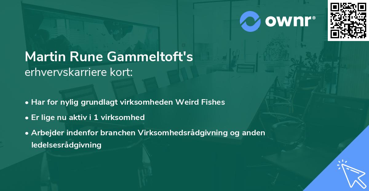 Martin Rune Gammeltoft's erhvervskarriere kort