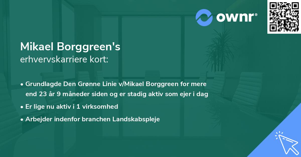 Mikael Borggreen's erhvervskarriere kort