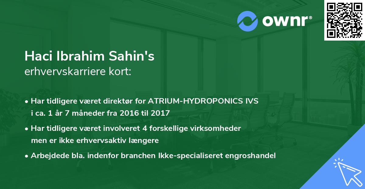 Haci Ibrahim Sahin's erhvervskarriere kort