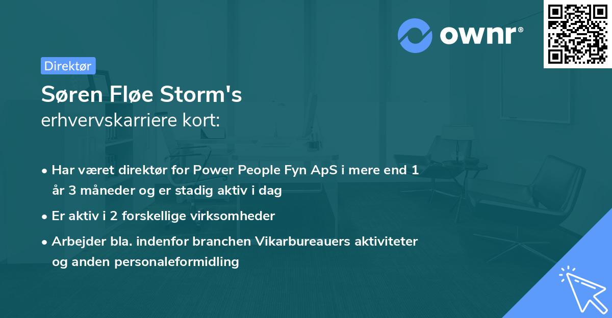 Søren Fløe Storm's erhvervskarriere kort