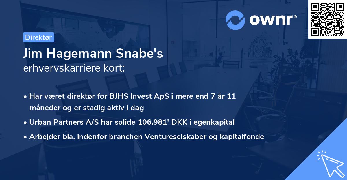 Jim Hagemann Snabe's erhvervskarriere kort