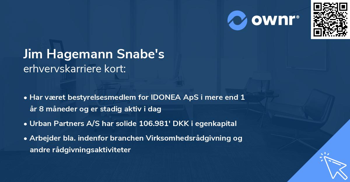 Jim Hagemann Snabe's erhvervskarriere kort