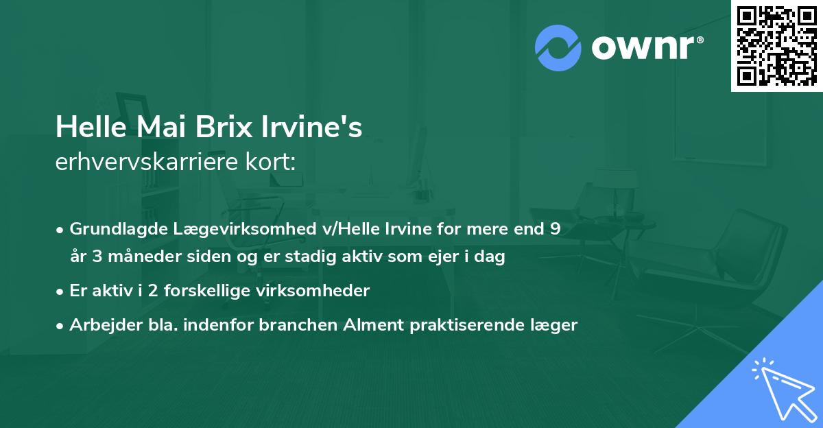 Helle Mai Brix Irvine's erhvervskarriere kort