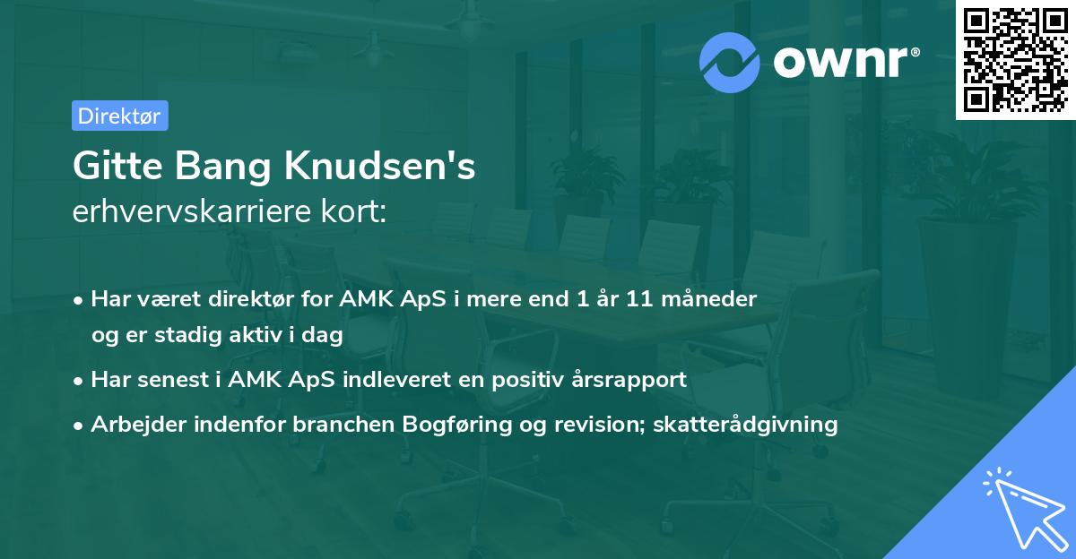 Gitte Bang Knudsen's erhvervskarriere kort