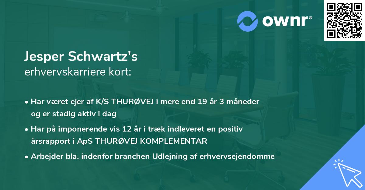 Jesper Schwartz's erhvervskarriere kort