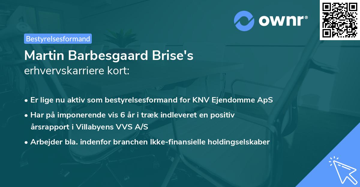 Martin Barbesgaard Brise's erhvervskarriere kort