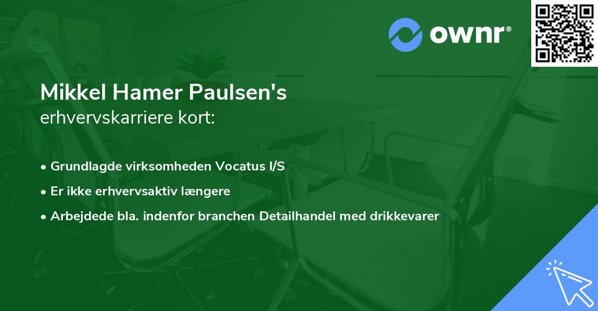 Mikkel Hamer Paulsen's erhvervskarriere kort