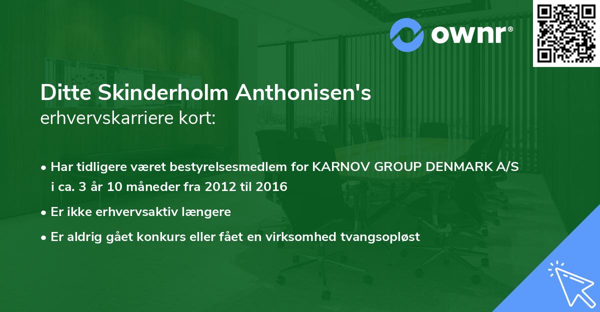 Ditte Skinderholm Anthonisen's erhvervskarriere kort