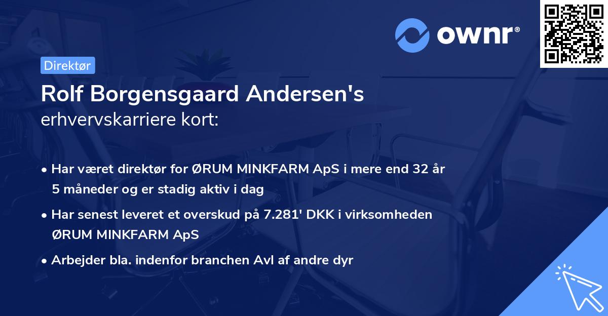 Rolf Borgensgaard Andersen's erhvervskarriere kort