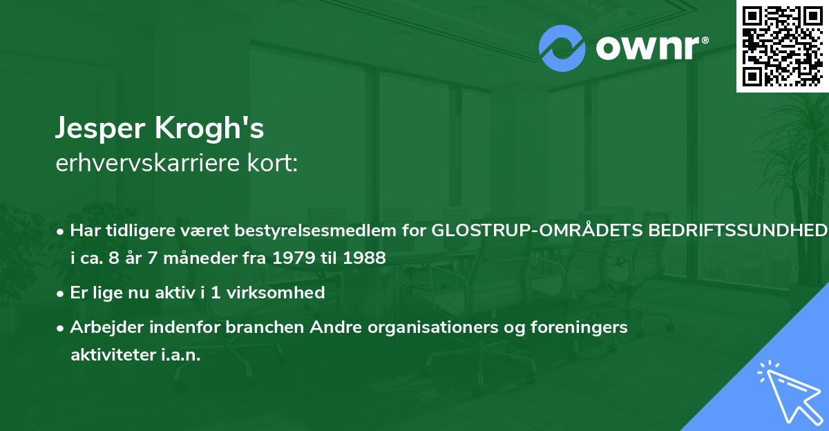 Jesper Krogh's erhvervskarriere kort