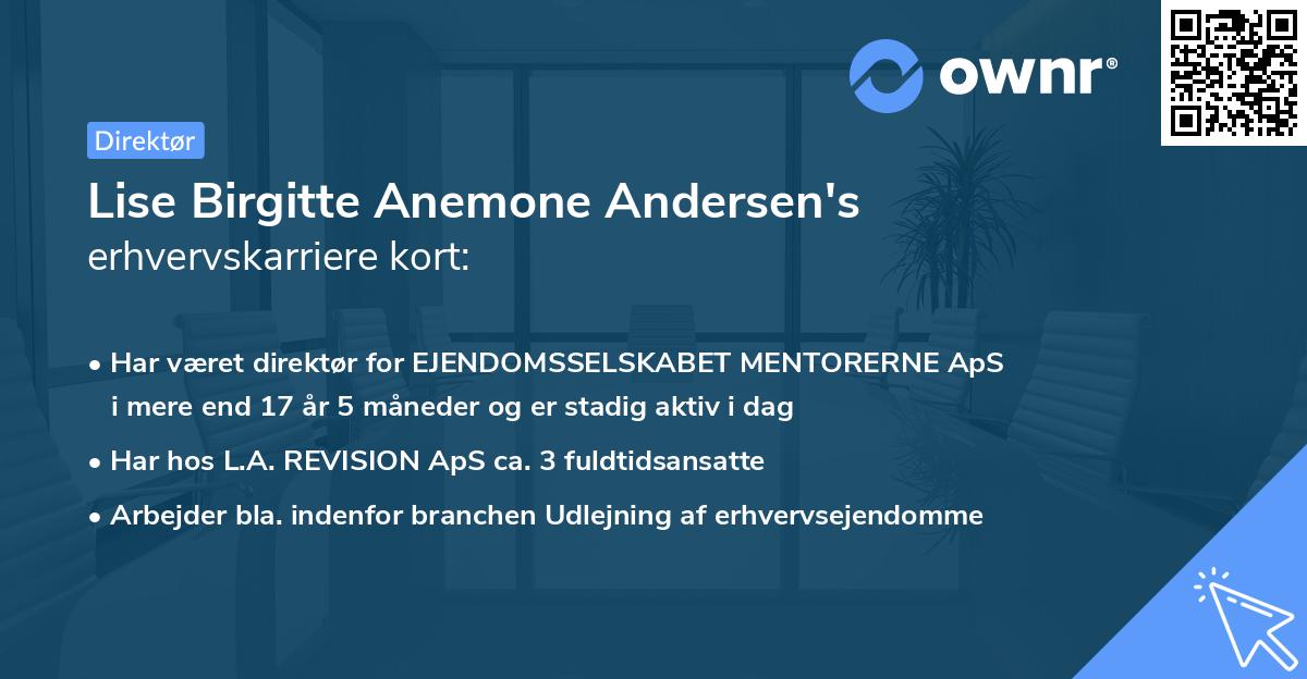 Lise Birgitte Anemone Andersen's erhvervskarriere kort