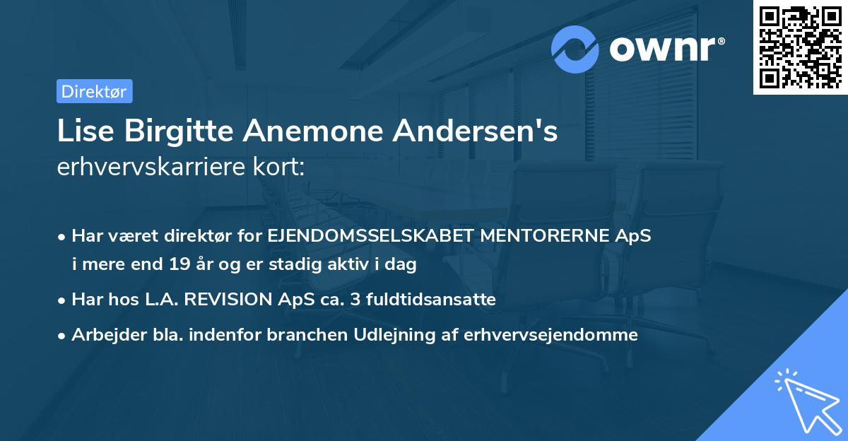 Lise Birgitte Anemone Andersen's erhvervskarriere kort
