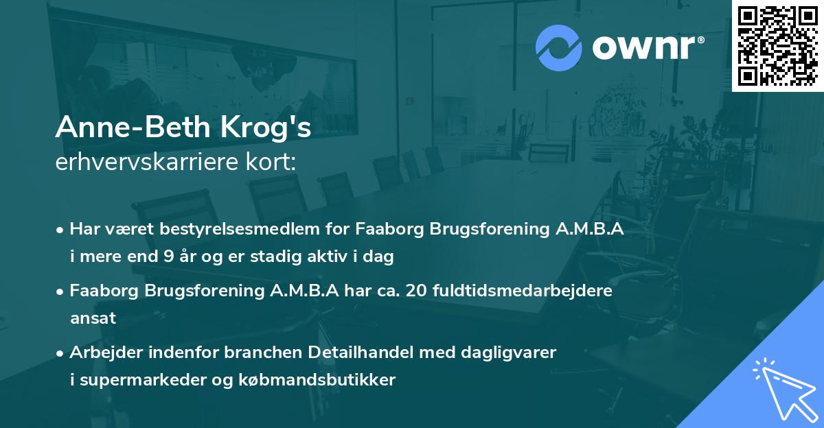 Anne-Beth Krog's erhvervskarriere kort