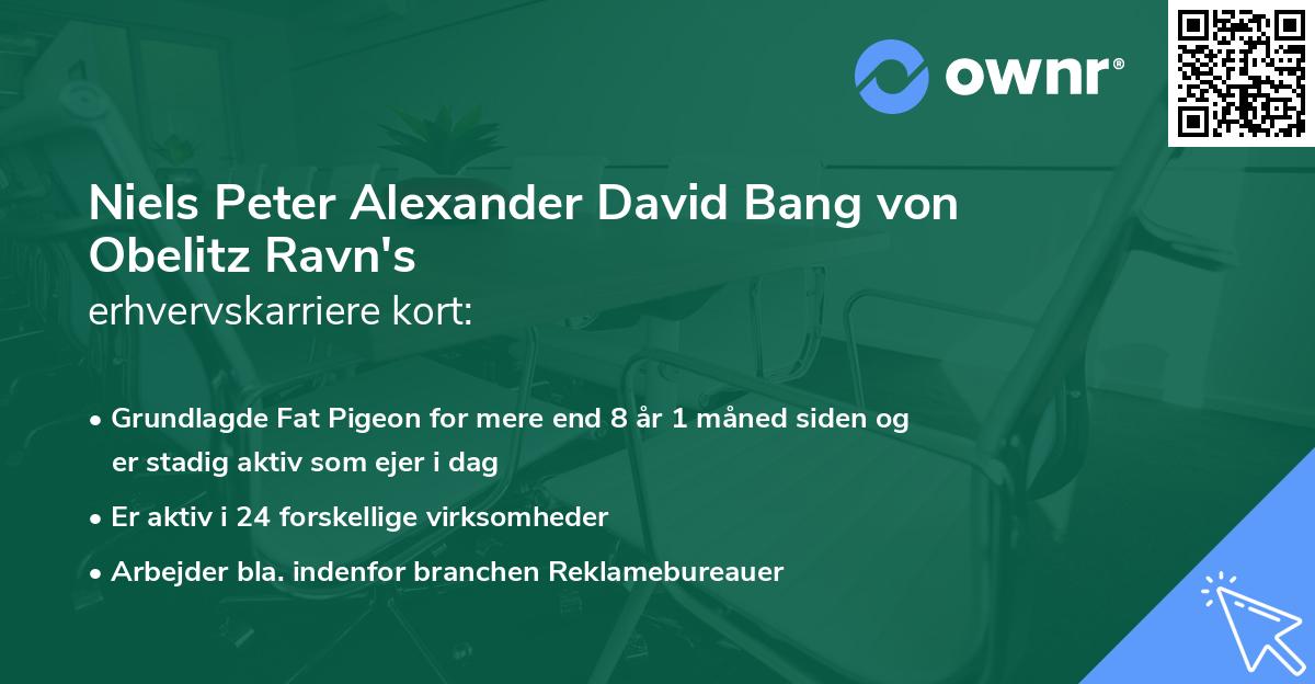 Niels Peter Alexander David Bang von Obelitz Ravn's erhvervskarriere kort