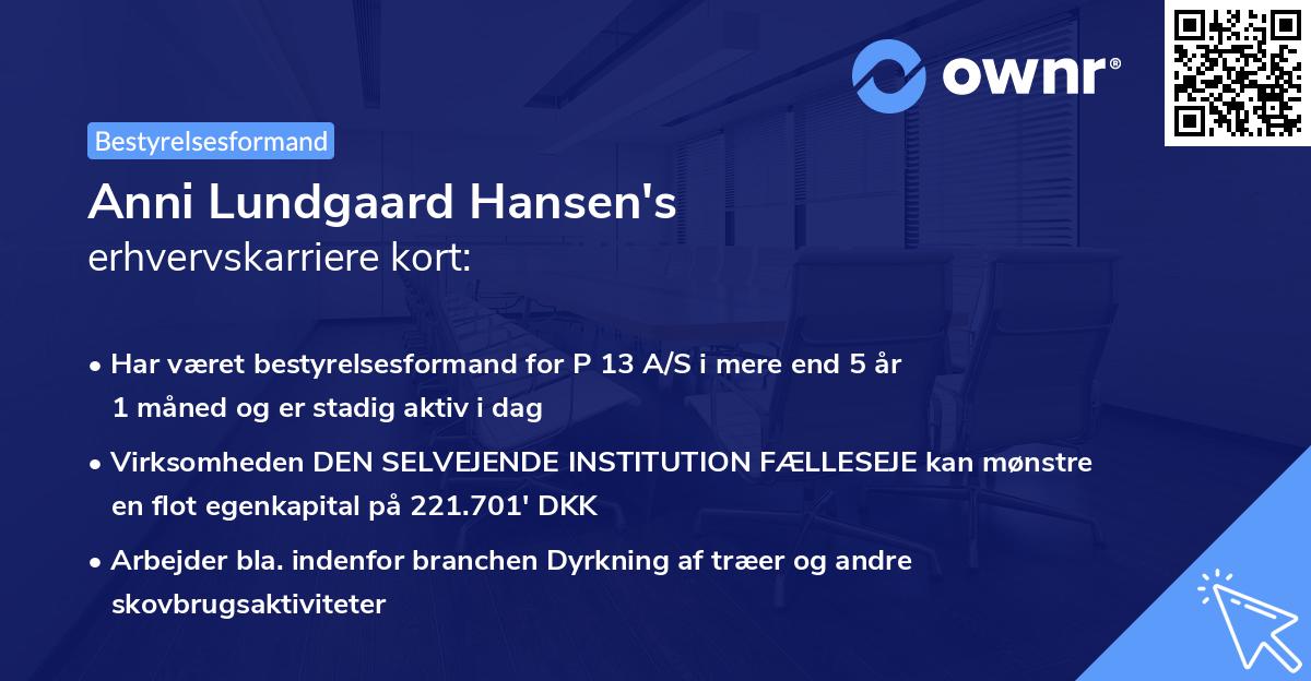 Anni Lundgaard Hansen's erhvervskarriere kort