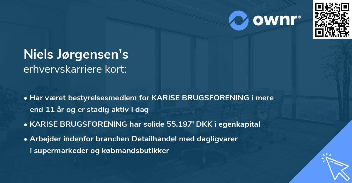 Niels Jørgensen's erhvervskarriere kort