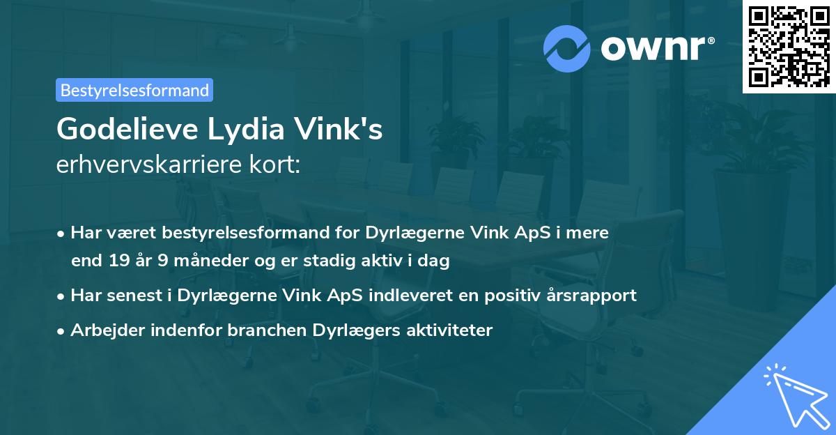 Godelieve Lydia Vink's erhvervskarriere kort