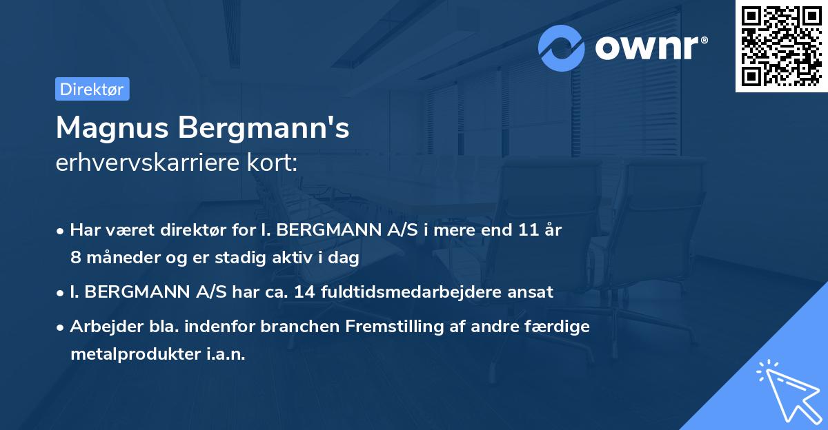 Magnus Bergmann's erhvervskarriere kort