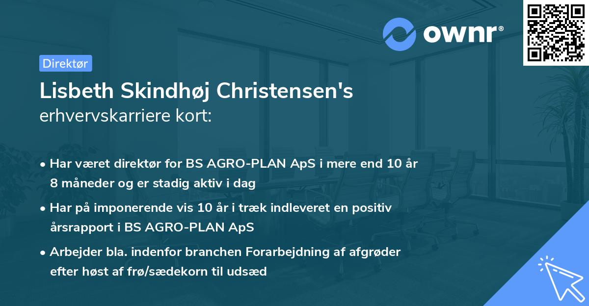 Lisbeth Skindhøj Christensen's erhvervskarriere kort
