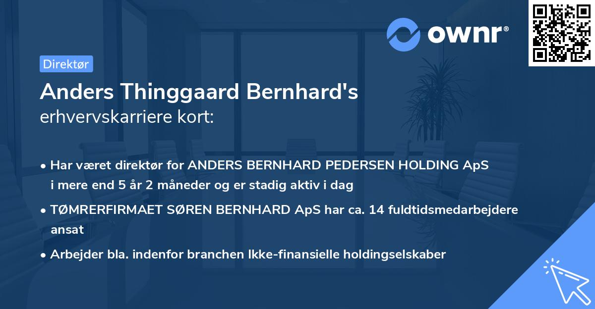 Anders Thinggaard Bernhard's erhvervskarriere kort