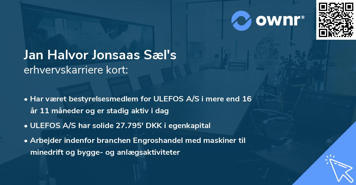 Jan Halvor Jonsaas Sæl's erhvervskarriere kort