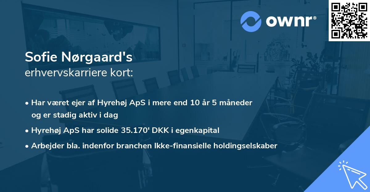 Sofie Nørgaard's erhvervskarriere kort